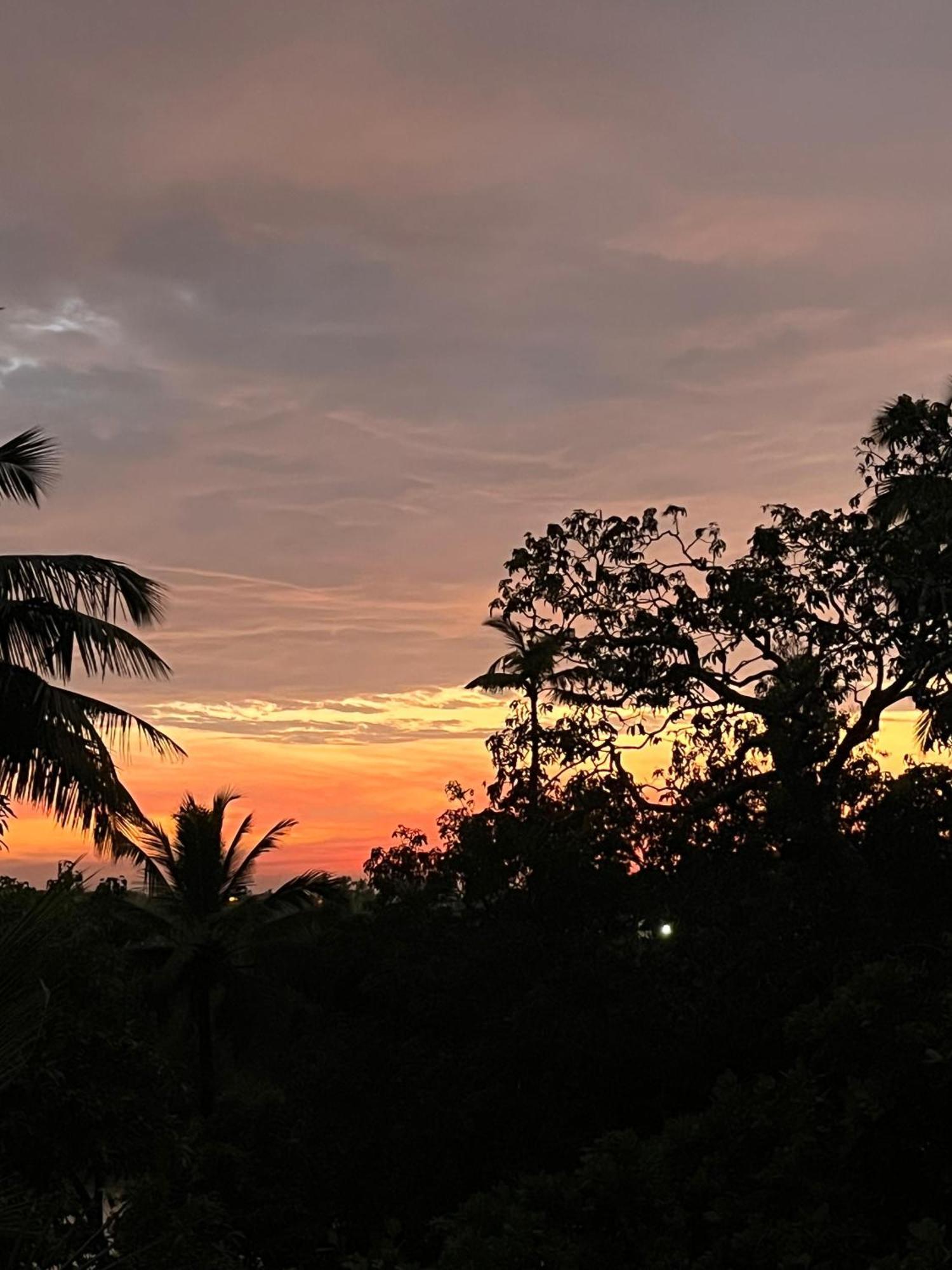 Green Nest Hostel, Baga- North Goa Arpora Zewnętrze zdjęcie