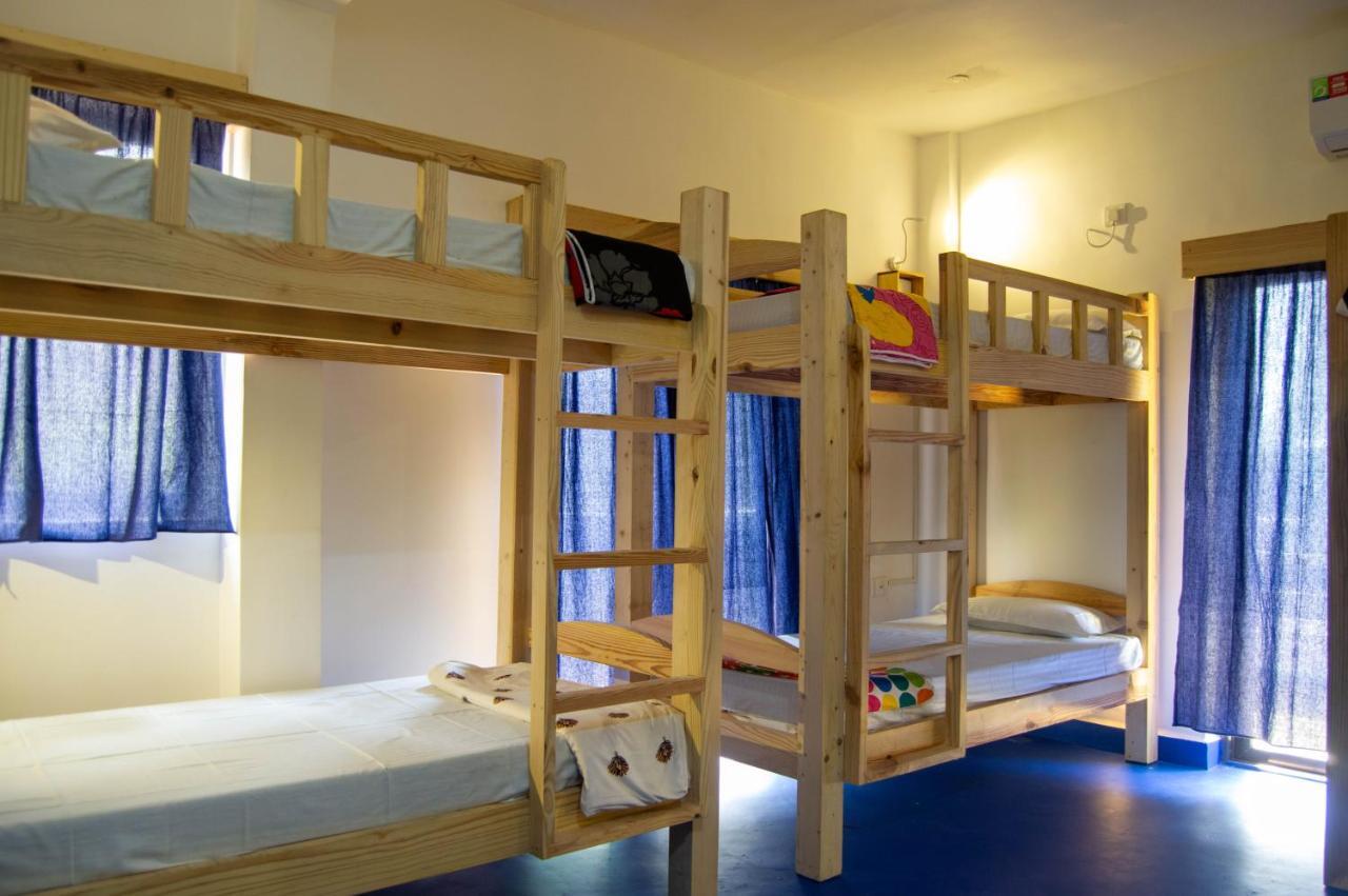 Green Nest Hostel, Baga- North Goa Arpora Zewnętrze zdjęcie